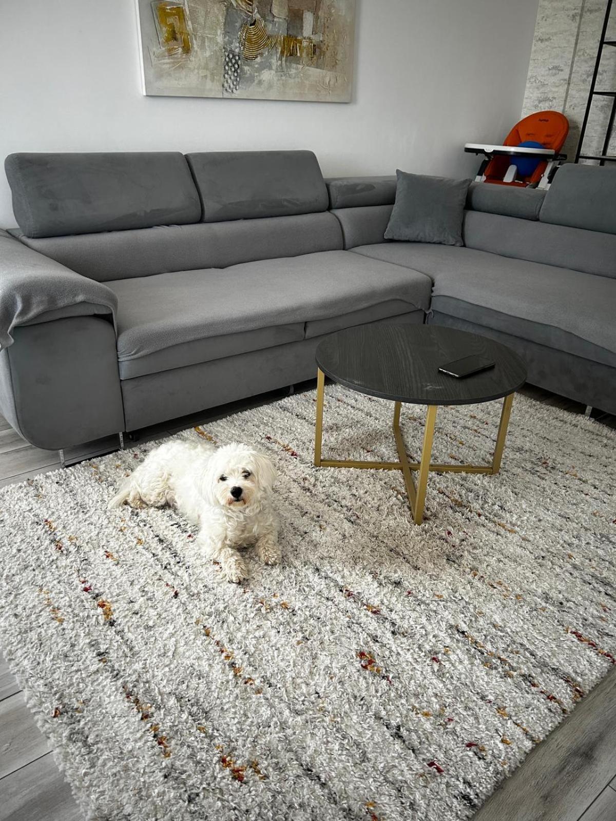 Mabu Apartment ブラショフ エクステリア 写真